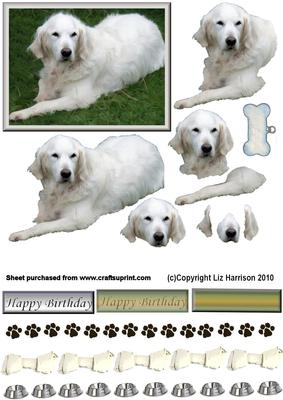 Golden Retriever Relaxing 3D Decoupage