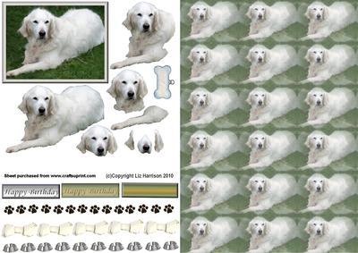 Golden Retriever Relaxing 3D Decoupage with Background