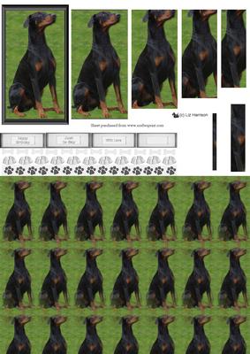 Doberman Pinscher 2 Pyramid with Background