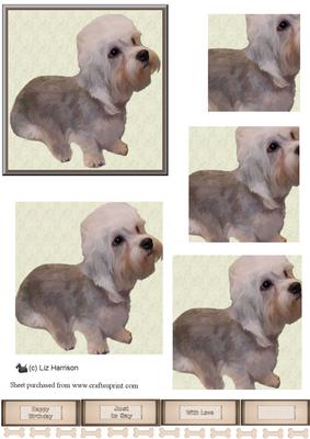 Dandie Dinmont Terrier 3 Pyramid