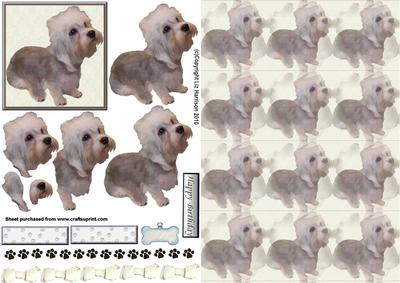 Dandie Dinmont Terrier 3D Decoupage with Background