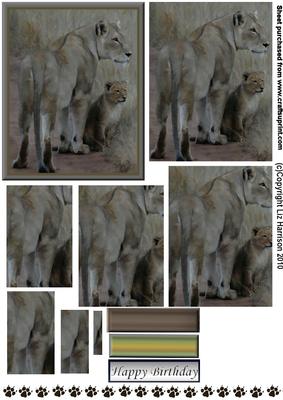 Lioness & Cub Pyramid