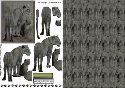 Lioness & Cub 3D Decoupage with Background