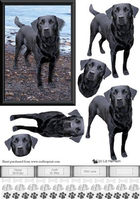 Black Labrador Beach Scene 3D Decoupage