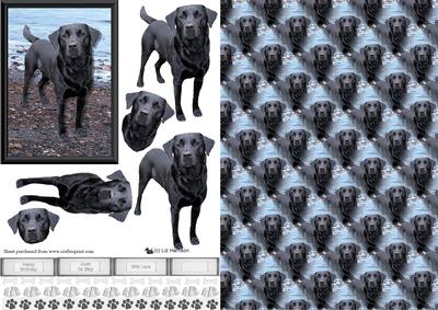 Black Labrador Beach Scene 3D Decoupage & Background