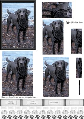Black Labrador Beach Scene Pyramid