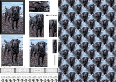 Black Labrador Beach Scene Pyramid & Background