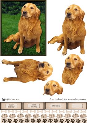 Golden Retriever Scene 3D Decoupage
