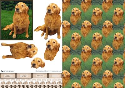 Golden Retriever 3D Decoupage & Background