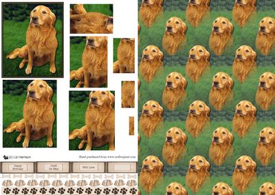 Golden Retriever Scene 3D Decoupage & Background