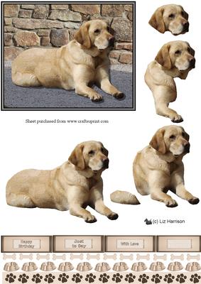Golden Labrador Scene 3D Decoupage