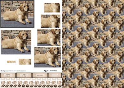 Golden Labrador Scene Pyramid & Background