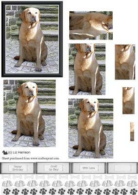 Golden Labrador Steps Scene Pyramid