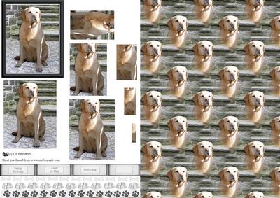 Golden Labrador Steps Scene Pyramid & Background