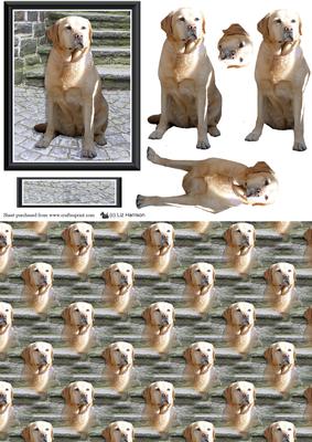 Golden Labrador Steps Scene 3D Decoupage & Background