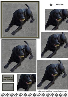 Black Labrador & Ball Pyramid