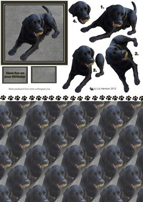 Black Labrador & Ball 3D Decoupage & Background