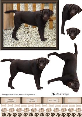 Chocolate Labrador Scene 3D Decoupage