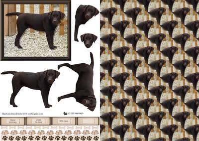 Chocolate Labrador Scene 3D Decoupage & Background