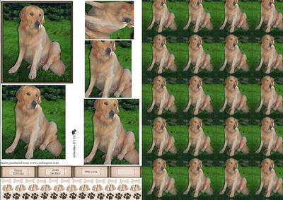Golden Retriever Pyramid & Background