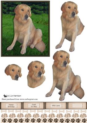 Golden Retriever 3D Decoupage