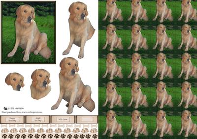 Golden Retriever 3D Decoupage & Background