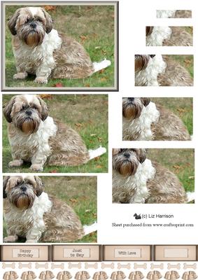 Shih Tzu Dog Pyramid