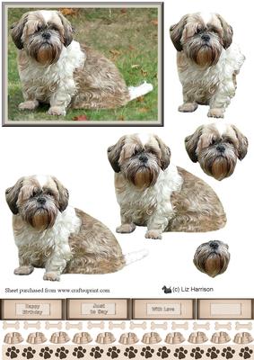 Shih Tzu Dog 3D Decoupage