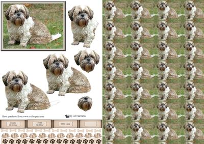 Shih Tzu Dog 3D Decoupage with Background