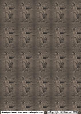 Meerkat Mother & Babies Vintage Style Background
