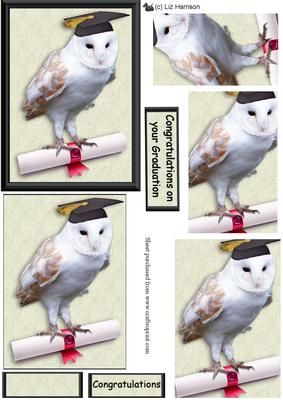 Barn Owl Congratulations Pyramid