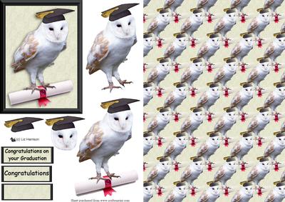 Barn Owl Congratulations 3D Decoupage & Background