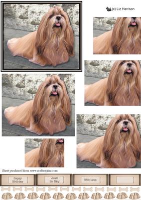 Shih Tzu Scene Pyramid