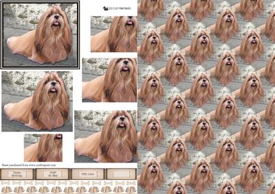 Shih Tzu Scene Pyramid & Background