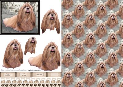 Shih Tzu Scene 3D Decoupage & Background