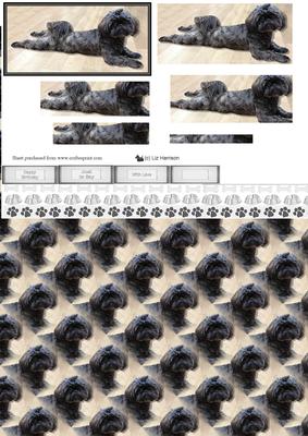 Shih Tzu Pyramid & Background