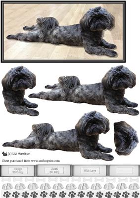 Shih Tzu 3D Decoupage