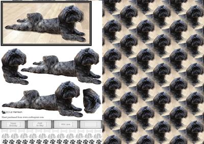 Shih Tzu 3D Decoupage & Background