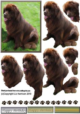 Newfoundland Chocolate Colour 3D Decoupage