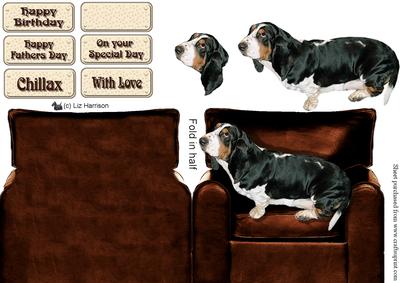 Basset Hound in an Arm Chair