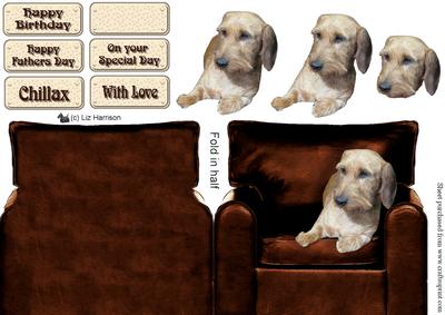 Wire Haired Dachshund Pair in an Arm Chair