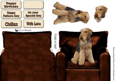 Airedale Terrier in an Arm Chair