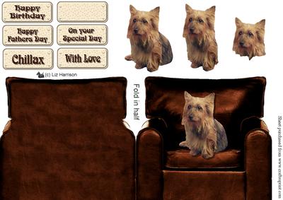 Australian Terrier in an Arm Chair