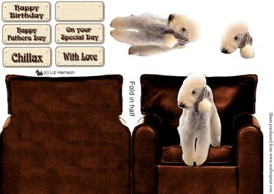 Bedlington Terrier in an Arm Chair