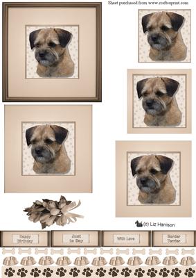 Border Terrier Portrait Pyramid