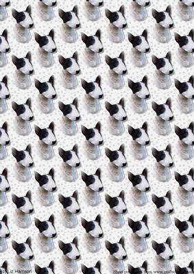 Bull Terrier (miniature) Portrait Background