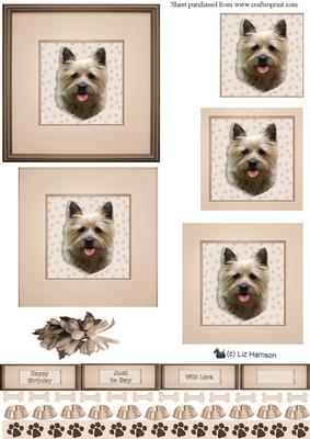 Cairn Terrier Portrait Pyramid