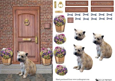 Cairn Terrier on a Door Step