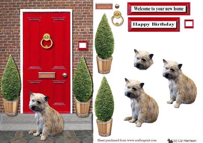 Cairn Terrier with a Red Door