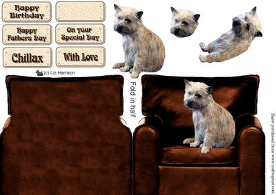 Cairn Terrier in an Arm Chair
